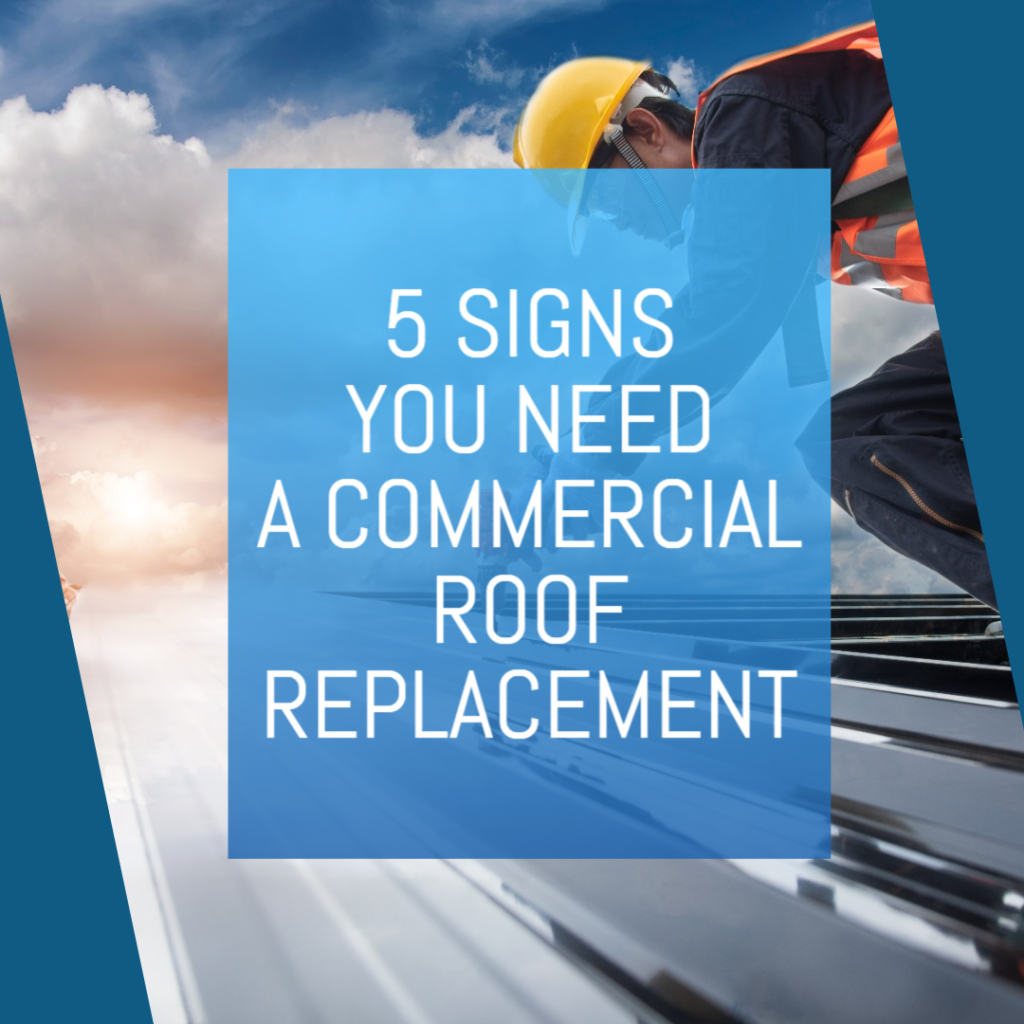 Signs You Need Commercial Roof Replacement